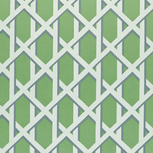 Lattice Kiwi